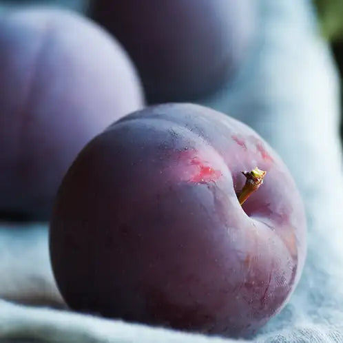 Cashmere Plum Wax Melt